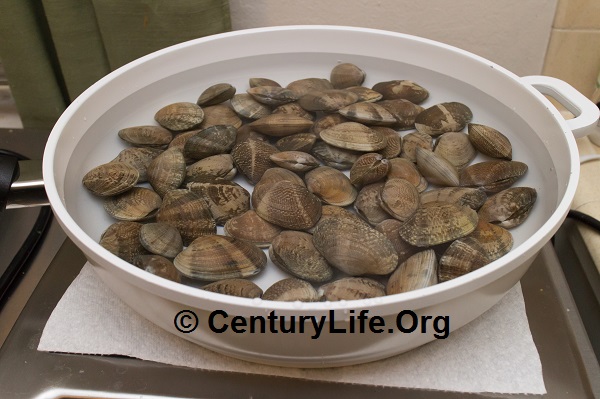 Berndes (Vario Click?) Ceramic Saute Pan. Since it's ceramic, it's good for enduring corrosive food. I took advantage by soaking these clams in salt water for 45 minutes to encourage them to spit out dirt.