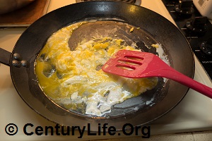 A Review of the Lodge Seasoned Carbon Steel Skillet