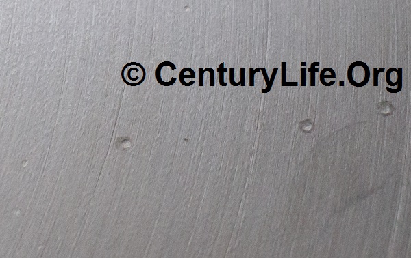 Salt crystals have left "pits" on the cooking surface of this pan. The chemical reaction between the salt and stainless steel has eaten away some of the steel. This is permanent damage.