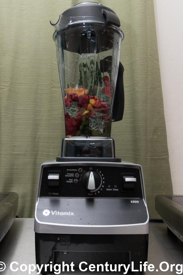 Vitamix 6300