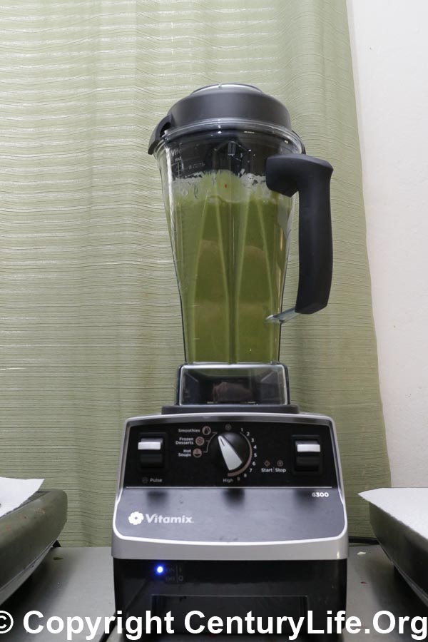 Vitamix 6300