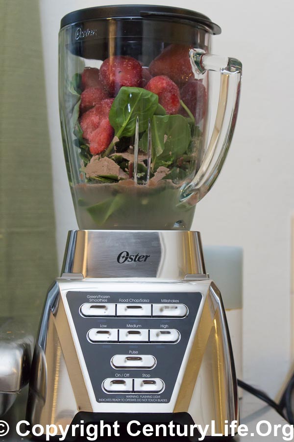 Oster Pro 500 Blender, Brushed Nickel